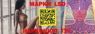 спиды Новозыбков