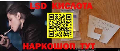 спиды Новозыбков