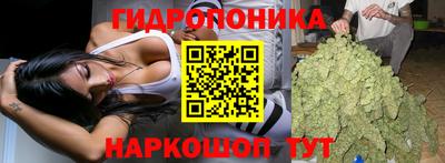 спиды Новозыбков